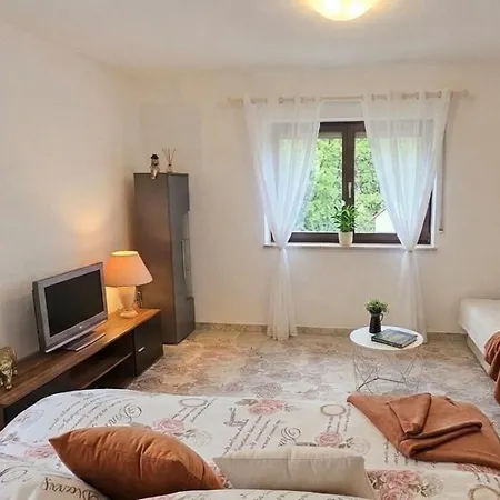 Daire Cozy Bis Zu 4 Personen, Kueche, Glasfaser-wlan, Walk-in-dusche, Schwarzwald Und Schweiz